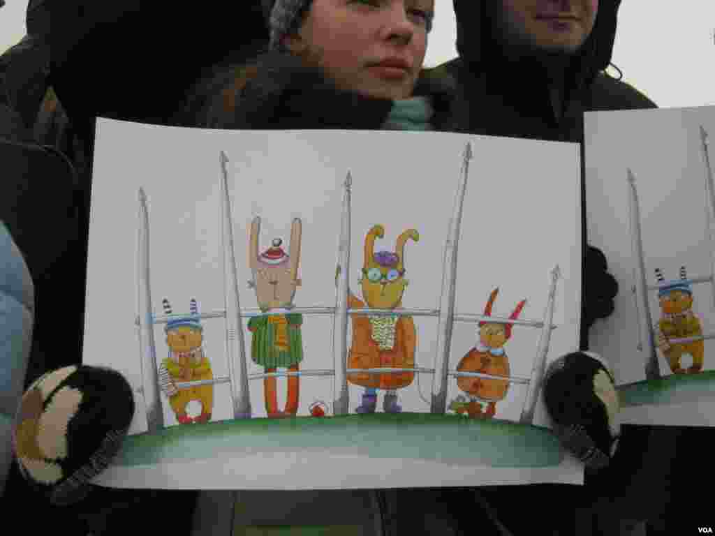 Плакаты участников митинга на Марсовом поле, Санкт-Петербург. 13 января 2013 года