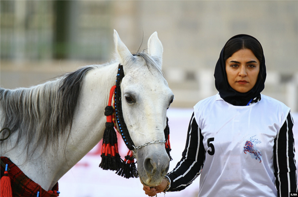 اولین جشنواره ملی اسب اصیل کُرد در سنندج عکس: محمدلطیف حسینی نسب 