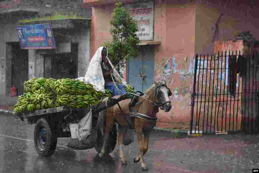 A man transporting bananas in a horse-drawn cart makes his way along a street as heavy monsoon rain falls in Amritsar, India.