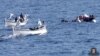 La marine italienne au secours de migrants en Méditerranée, le 28 janvier 2018. 