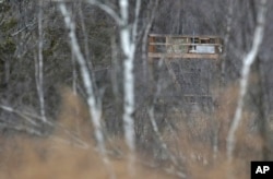 FILE - A large tower seen from a public road is visible through the trees at Leather Hill Preserve in Wingdale, New York, Feb. 1, 2018. A company tied to Donald Trump Jr. and Eric Trump owns the 171-acre hunting preserve that is being used as a private shooting range.