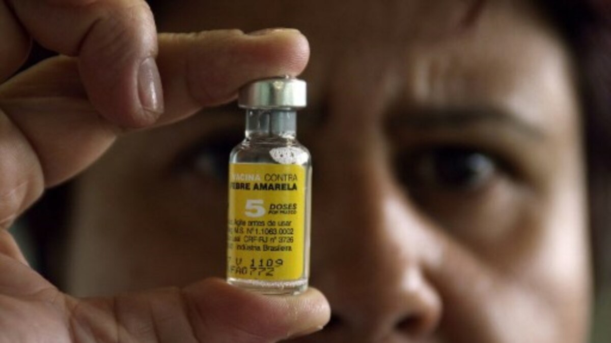 Vaccine Apathy in Nigeria Fuels Yellow Fever Outbreak