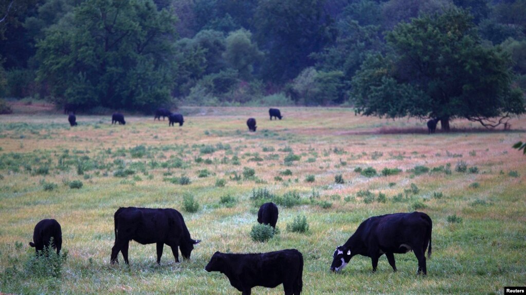Một trang trại tại bang Missouri.