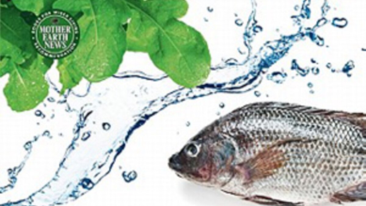 Aquaponics Could Signal Future of Food Biology Diagrams