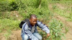 Reportage d'Emmanuel Jules Ntap, correspondant à Yaoundé pour VOA Afrique