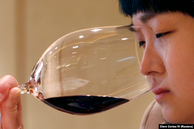 A woman smells red wine during A wine-tasting event in Beijing April 18, 2007. (REUTERS/Claro Cortes IV)