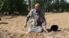 یک کشاورز فلسطینی در حال کاشت نهال بادام 