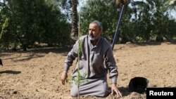 Un fermier palestinien dans Wadi as-Salqa prés de la frontière entre la bande de Gaza et Israël, 2 mars 2016