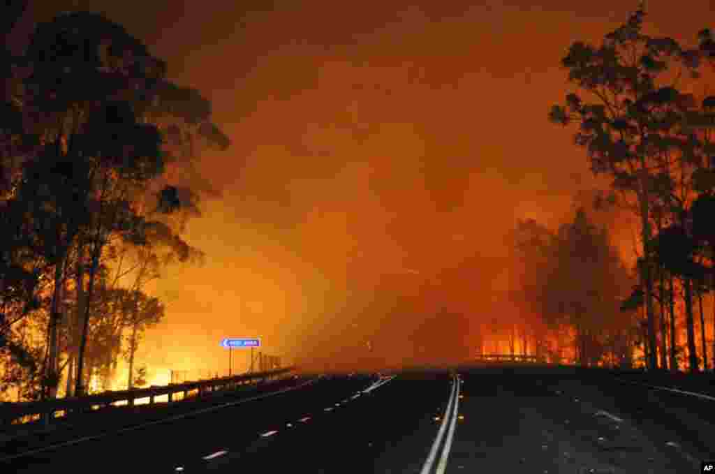 A wildfire near Deans Gap, Australia, crosses the Princes Highway, January 8, 2013. Firefighters are battling scores of wildfires in southeastern Australia as authorities evacuate national parks and warned that hot, dry and windy conditions were combining to raise the threat to its highest alert level. (Photo provided by NSW Rural Fire Service)