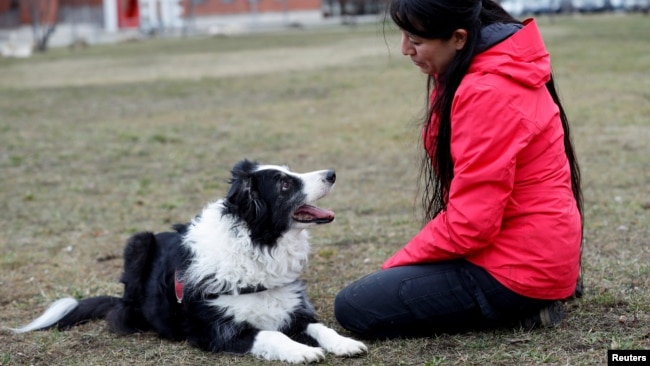 Postdoctoral researcher Laura V. Cuaya talks to her dog Kun-kun, an 8-year-old Border Collie, at the Ethology Department of the Eotvos Lorand University in Budapest, Hungary, January 5, 2022. (REUTERS/Bernadett Szabo)