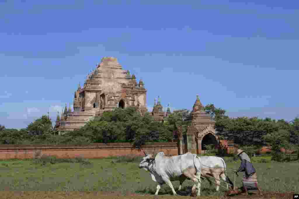ស្រ្តី​ភ្ជួរស្រែ​នៅខាង​មុខប្រាសាទ​ Sulamani Guphaya ដែល​បាន​ខូចខាត​ក្រោយ​ការ​រញ្ជួយ​ដីដ៏ខ្លាំង​ក្នុង​តំបន់​ Bagan​ ថ្ងៃ​ទី២៥ ខែ​សីហា ឆ្នាំ​២០១៦។&nbsp;