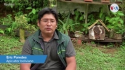 Apicultor boliviano revela su sueño: De centro de rescate a centro de investigaciones 