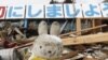 日本人希望灾后重建带动经济发展