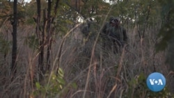 All-Female Vegan Rangers Leading Anti-Poaching in Zimbabwe 
