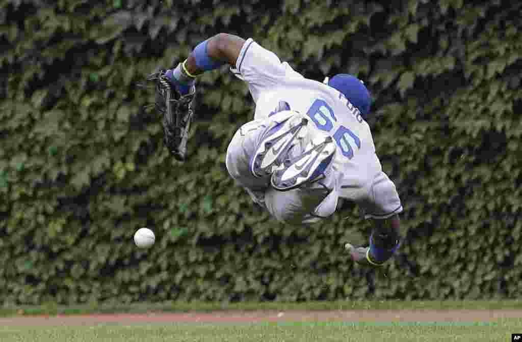 Los Angeles Dodgers right fielder Yasiel Puig can't make the diving catch on a double hit by Chicago Cubs' Cole Gillespie during the fourth inning of a baseball game in Chicago, USA, Aug. 2, 2013.