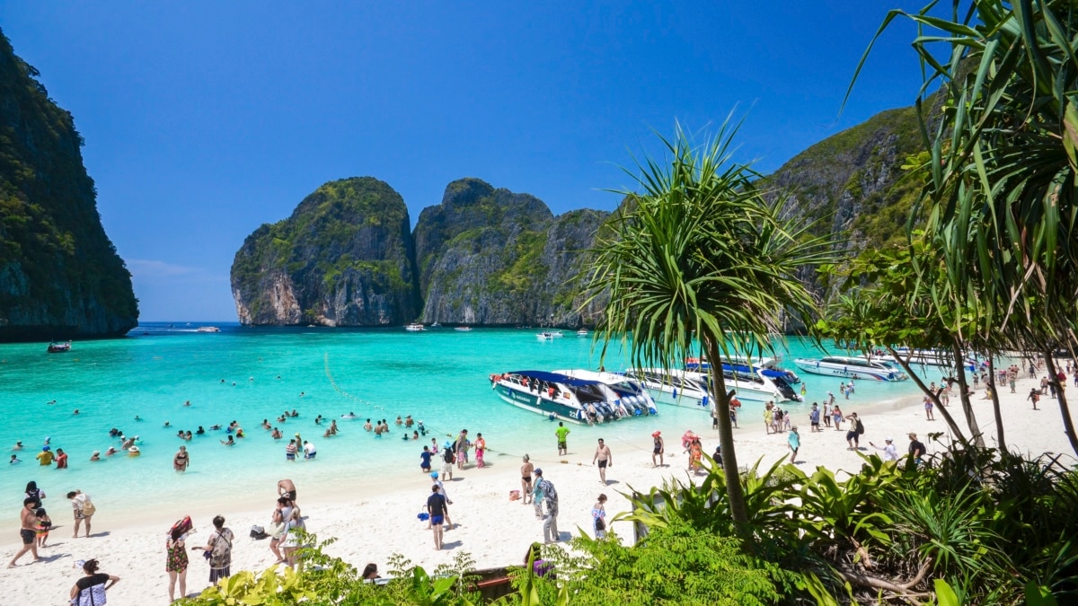 Thailand allows visitors back to beach made famous by movie