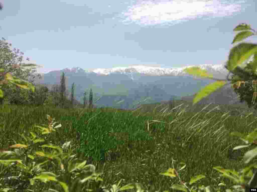 کوه شاهو- روستای ژریژه. شاهو، بلندترین قله غرب کشور در استان کرمانشاه را دارد. عکس: تیمور (ارسالی شما)