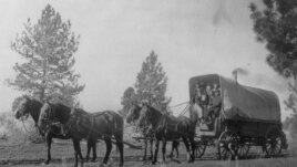 Covered Wagon of the Old West