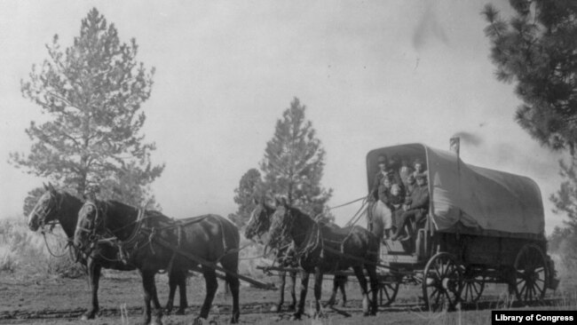 Covered Wagon of the Old West