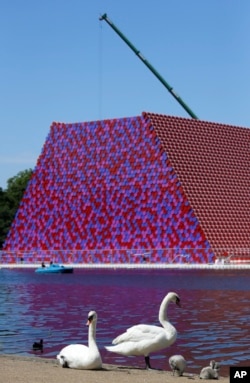 A family of swans sit by The Serpentine in front of a sculpture made of oil barrels being constructed by artist Christo, in Hyde Park in London, Monday, June 11, 2018.