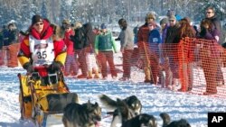 Mitch Seavey competes at the official start of the Iditarod Trail Sled Dog Race in Willow, Alaska, (File Photo).