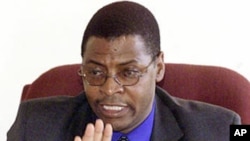 Industry Minister of the smaller Movement for Democratic Change Welshman Ncube (file photo)