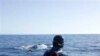 تلاش برای نجات يک نهنگ خاکستری در کاليفرنيا