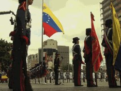 Venecuela - raj ili iluzija?