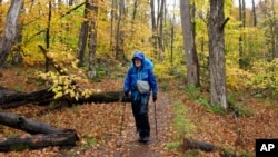 Artist Rob Mullen walks down Long Trail, the country's oldest long distance trail, in Manchester, Vt., on Tuesday, Oct. 13, 2020. Mullen was nearing the end of his 272-mile month-long hike down the length of Vermont, painting along the way. (AP Photo/Lisa