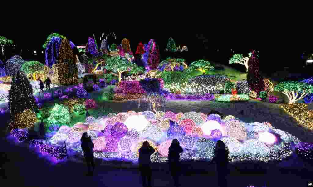 Visitors are silhouetted with decorated lights on trees to celebrate the upcoming Christmas and New Year at Garden of Morning Calm in Gapyeong, South Korea.