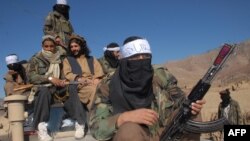 سازمان ملل متحد تخمین زده است که ۴۰۰۰ جنگجوی تحریک طالبان پاکستان در ساحات مرزی آن کشور با افغانستان مستقر اند