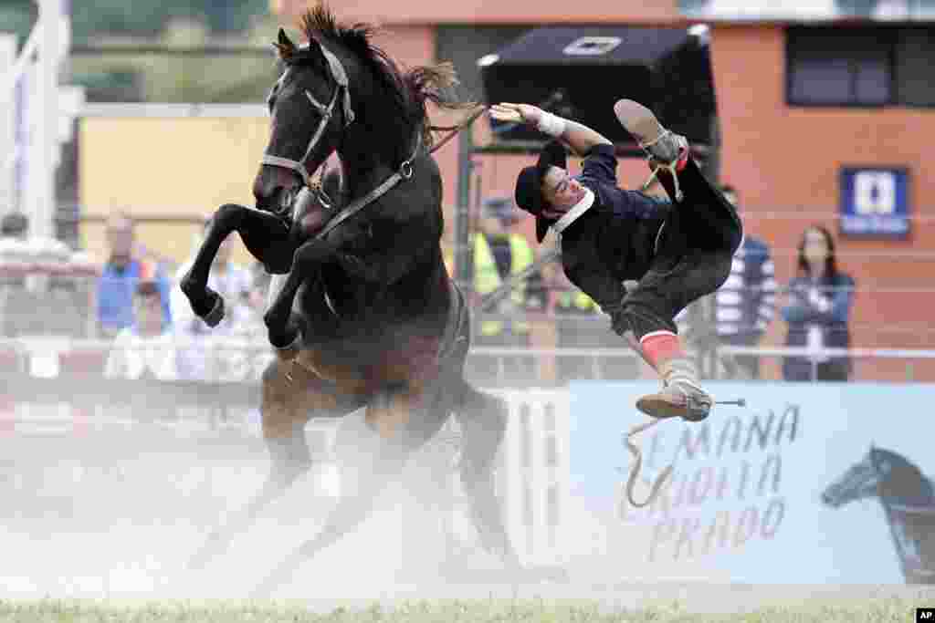 Seorang pria terlempar saat berusaha mengendarai kuda liar pada festival rodeo di Montevideo, Uruguay.