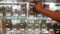 FILE - A clerk reaches for a container of marijuana buds for a customer at Utopia Gardens, a medical marijuana dispensary in Detroit, Michigan, Oct. 2, 2018.