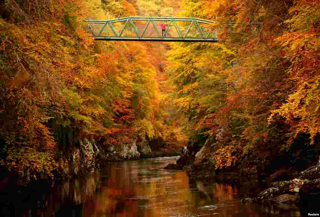 A woman stands on the footbridge over the river Garry near Pitlochry , Scotland, Britain.