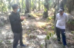 Tim ahli Jangka Benah, Dr Forst Bambang Irawan berdiskusi dengan petani sawit di Tebo, Jambi terkait program ini, Mei 2021. (Foto: Courtesy/Jangkabenah.org)