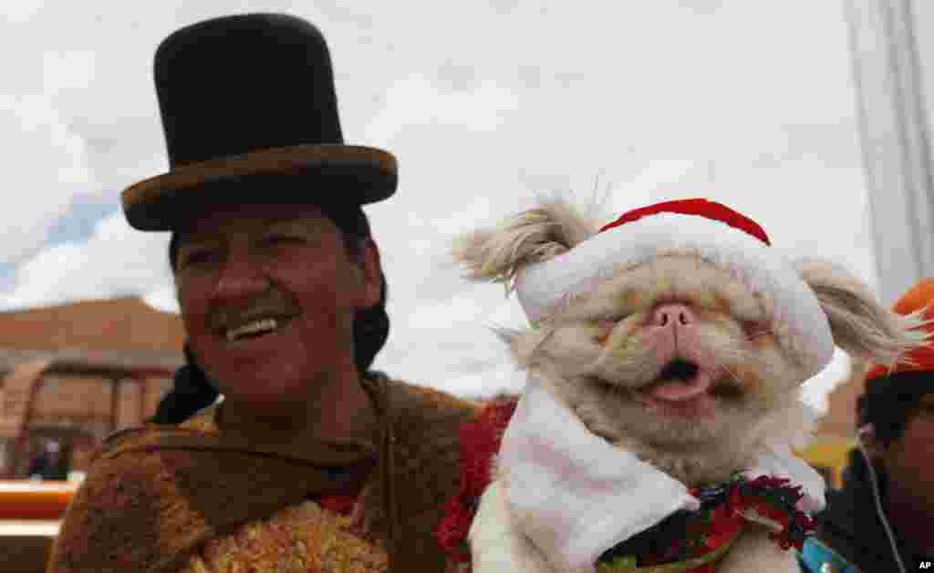 An Aymara indigenous woman carries her pet to a Christmas costume contest for dogs in El Alto, Bolivia, Dec. 20, 2014.