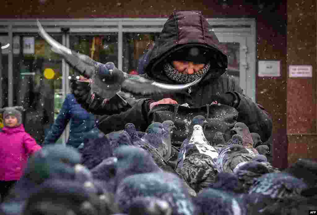 A flock of pigeons is seen near a woman in Moscow, Russia.