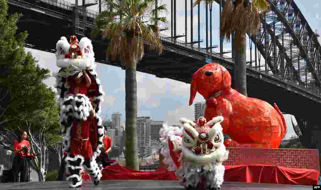 2018年2月12日，澳大利亚的悉尼海港大桥下面，农历新年节日启动，舞狮者表演，迎接狗年。