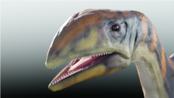 Science in a Minute: First Dinosaur to Live in Greenland Discovered