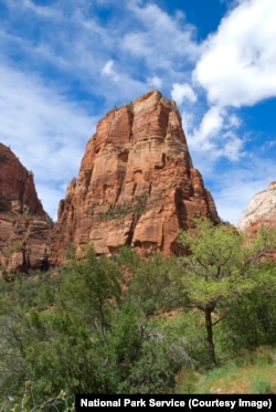 Looking up at Angels Landing