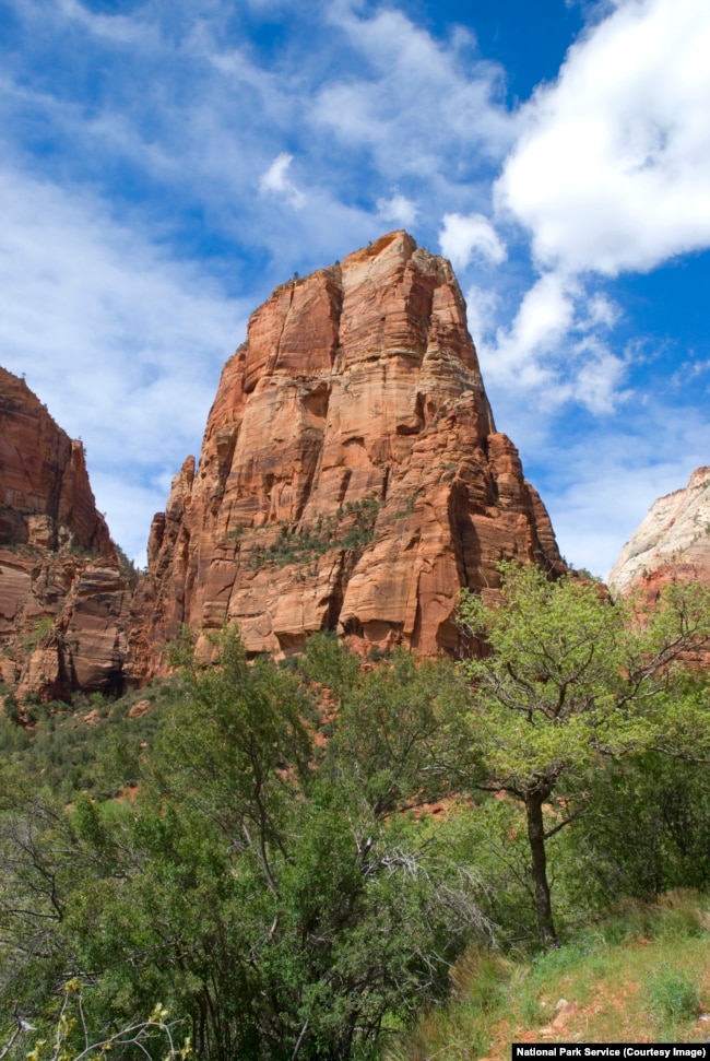 Looking up at Angels Landing