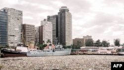 The port of Durban is swamped by tons of debris, mostly plastic and wood, on April 28, 2019.