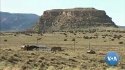 Navajo Women Lead COVID-19 Fight 