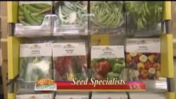 ډیوه ریډیو په ټې وي