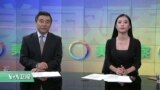 美国观察 2017年7月4日