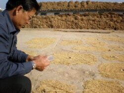 작황과 식량안보 조사를 위해 북한에 파견된 유엔 식량농업기구 실사단 (자료사진)