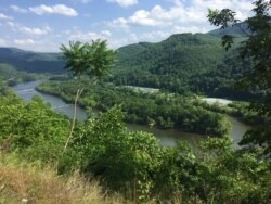 The unique flora and fauna of West Virginia help create clean, richly flavored honey. (VOA/ Julie Taboh)