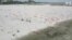Drone Footage Shows Mass Graves Along Riverbed in India 