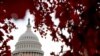 Republicans Secure Half of Total US Senate Seats 