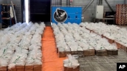 ARCHIVO - Esta imagen de archivo proporcionada el 10 de agosto de 2023 por el Ministerio Público de Rotterdam muestra 8.000 kilogramos (17.637 libras) de cocaína en Rotterdam, Países Bajos. Las autoridades aduaneras de los Países Bajos dijeron el 10 de agosto que interceptaron un cargamento de más de 8.000 kilogramos (17.637 libras) de cocaína en el puerto de Rotterdam y, según los fiscales, las drogas fueron descubiertas escondidas en un contenedor de plátanos procedentes de Ecuador en julio 13.